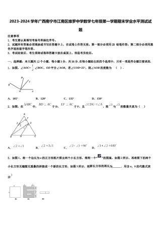 2023-2024学年广西南宁市江南区维罗中学数学七年级第一学期期末学业水平测试试题含解析.doc