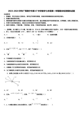 2023-2024学年广西南宁市第47中学数学七年级第一学期期末检测模拟试题含解析.doc