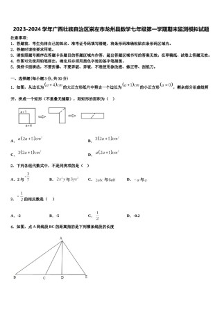 2023-2024学年广西壮族自治区崇左市龙州县数学七年级第一学期期末监测模拟试题含解析.doc