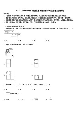 2023-2024学年广西崇左市龙州县数学七上期末监测试题含解析.doc