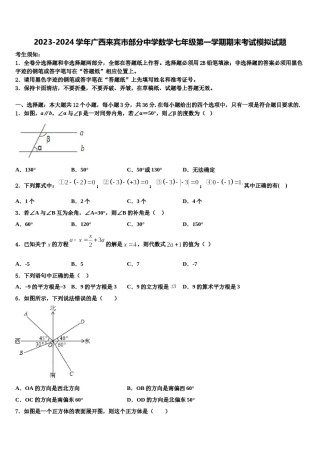 2023-2024学年广西来宾市部分中学数学七年级第一学期期末考试模拟试题含解析.doc