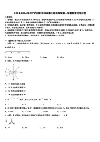 2023-2024学年广西梧州市岑溪市七年级数学第一学期期末统考试题含解析.doc