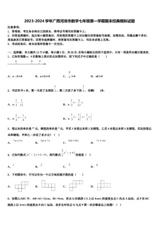 2023-2024学年广西河池市数学七年级第一学期期末经典模拟试题含解析.doc