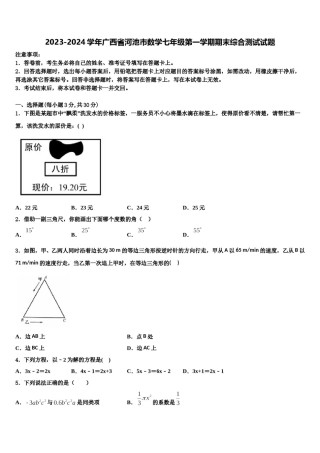 2023-2024学年广西省河池市数学七年级第一学期期末综合测试试题含解析.doc
