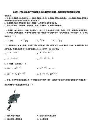 2023-2024学年广西省蒙山县七年级数学第一学期期末考试模拟试题含解析.doc
