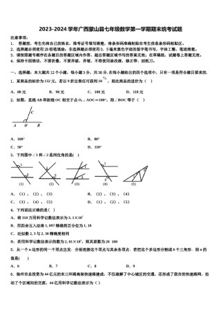 2023-2024学年广西蒙山县七年级数学第一学期期末统考试题含解析.doc