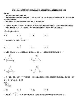 2023-2024学年怒江市重点中学七年级数学第一学期期末调研试题含解析.doc