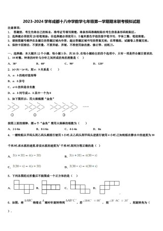 2023-2024学年成都十八中学数学七年级第一学期期末联考模拟试题含解析.doc