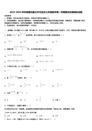 2023-2024学年新疆乌鲁木齐市名校七年级数学第一学期期末经典模拟试题含解析.doc