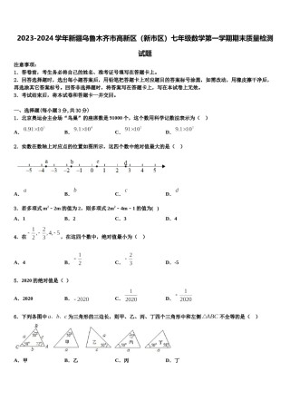 2023-2024学年新疆乌鲁木齐市高新区（新市区）七年级数学第一学期期末质量检测试题含解析.doc