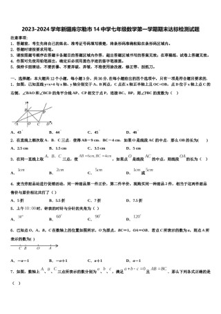 2023-2024学年新疆库尔勒市14中学七年级数学第一学期期末达标检测试题含解析.doc