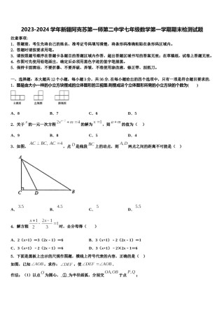 2023-2024学年新疆阿克苏第一师第二中学七年级数学第一学期期末检测试题含解析.doc