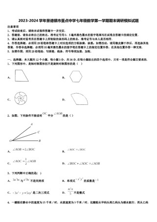 2023-2024学年景德镇市重点中学七年级数学第一学期期末调研模拟试题含解析.doc