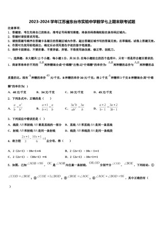 2023-2024学年江苏省东台市实验中学数学七上期末联考试题含解析.doc