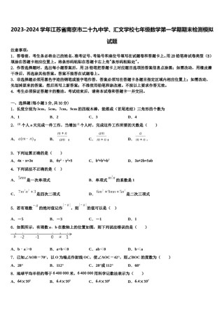 2023-2024学年江苏省南京市二十九中学、汇文学校七年级数学第一学期期末检测模拟试题含解析.doc