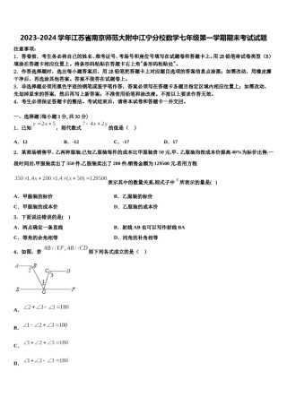 2023-2024学年江苏省南京师范大附中江宁分校数学七年级第一学期期末考试试题含解析.doc