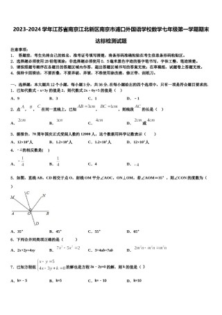 2023-2024学年江苏省南京江北新区南京市浦口外国语学校数学七年级第一学期期末达标检测试题含解析.doc