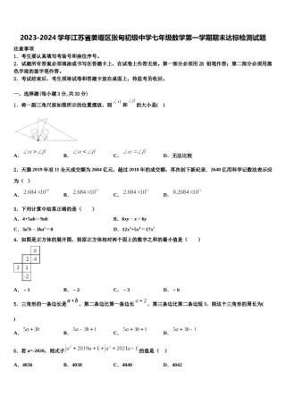 2023-2024学年江苏省姜堰区张甸初级中学七年级数学第一学期期末达标检测试题含解析.doc