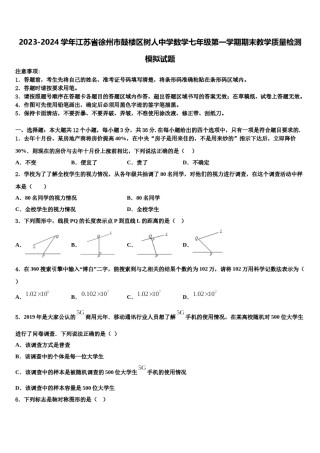 2023-2024学年江苏省徐州市鼓楼区树人中学数学七年级第一学期期末教学质量检测模拟试题含解析.doc