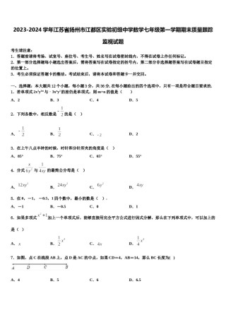 2023-2024学年江苏省扬州市江都区实验初级中学数学七年级第一学期期末质量跟踪监视试题含解析.doc
