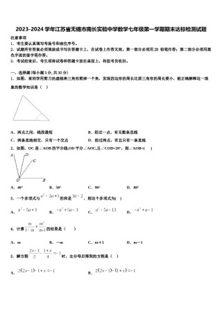 2023-2024学年江苏省无锡市南长实验中学数学七年级第一学期期末达标检测试题含解析.doc