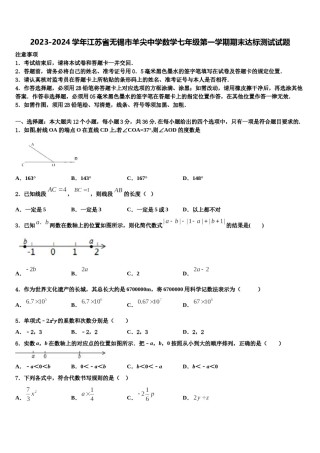 2023-2024学年江苏省无锡市羊尖中学数学七年级第一学期期末达标测试试题含解析.doc