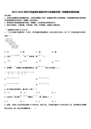 2023-2024学年江苏省溧水高级中学七年级数学第一学期期末调研试题含解析.doc