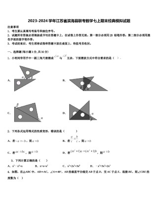 2023-2024学年江苏省滨海县联考数学七上期末经典模拟试题含解析.doc
