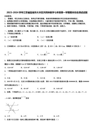 2023-2024学年江苏省盐城市大丰区共同体数学七年级第一学期期末综合测试试题含解析.doc