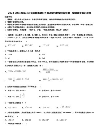 2023-2024学年江苏省盐城市射阳外国语学校数学七年级第一学期期末调研试题含解析.doc