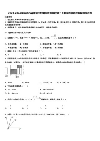 2023-2024学年江苏省盐城市射阳实验中学数学七上期末质量跟踪监视模拟试题含解析.doc
