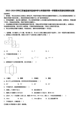 2023-2024学年江苏省盐城市盐城中学七年级数学第一学期期末质量检测模拟试题含解析.doc