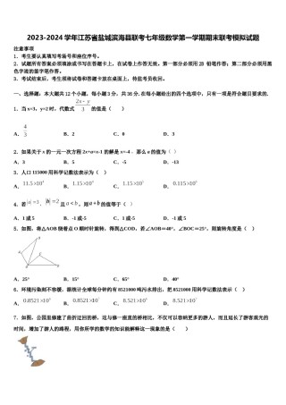 2023-2024学年江苏省盐城滨海县联考七年级数学第一学期期末联考模拟试题含解析.doc