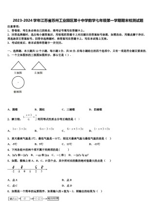 2023-2024学年江苏省苏州工业园区第十中学数学七年级第一学期期末检测试题含解析.doc