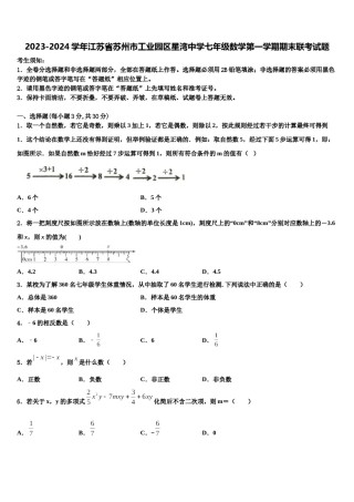 2023-2024学年江苏省苏州市工业园区星湾中学七年级数学第一学期期末联考试题含解析.doc
