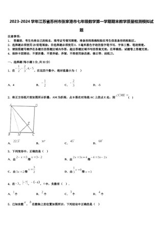 2023-2024学年江苏省苏州市张家港市七年级数学第一学期期末教学质量检测模拟试题含解析.doc