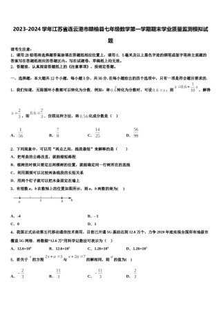 2023-2024学年江苏省连云港市赣榆县七年级数学第一学期期末学业质量监测模拟试题含解析.doc