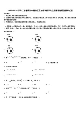 2023-2024学年江苏省镇江市丹徒区宜城中学数学七上期末达标检测模拟试题含解析.doc