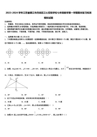 2023-2024学年江苏省镇江市丹徒区江心实验学校七年级数学第一学期期末复习检测模拟试题含解析.doc
