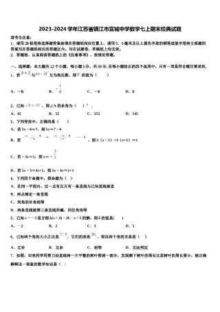 2023-2024学年江苏省镇江市宜城中学数学七上期末经典试题含解析.doc