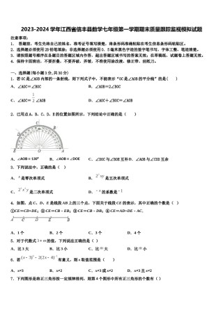 2023-2024学年江西省信丰县数学七年级第一学期期末质量跟踪监视模拟试题含解析.doc