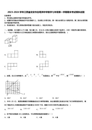 2023-2024学年江西省吉安市白鹭洲中学数学七年级第一学期期末考试模拟试题含解析.doc