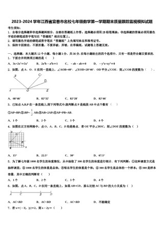 2023-2024学年江西省宜春市名校七年级数学第一学期期末质量跟踪监视模拟试题含解析.doc