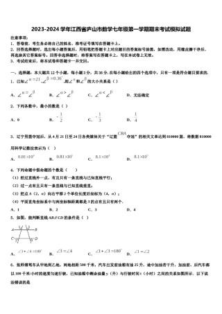2023-2024学年江西省庐山市数学七年级第一学期期末考试模拟试题含解析.doc