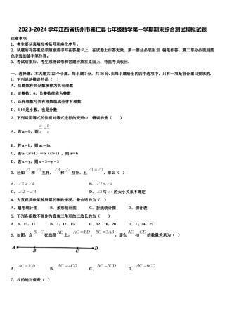 2023-2024学年江西省抚州市崇仁县七年级数学第一学期期末综合测试模拟试题含解析.doc