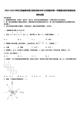 2023-2024学年江西省赣州蓉江新区潭东中学七年级数学第一学期期末教学质量检测模拟试题含解析.doc