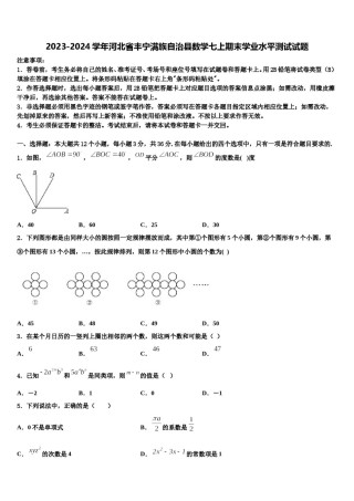 2023-2024学年河北省丰宁满族自治县数学七上期末学业水平测试试题含解析.doc