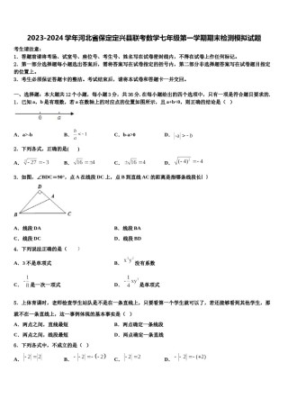 2023-2024学年河北省保定定兴县联考数学七年级第一学期期末检测模拟试题含解析.doc