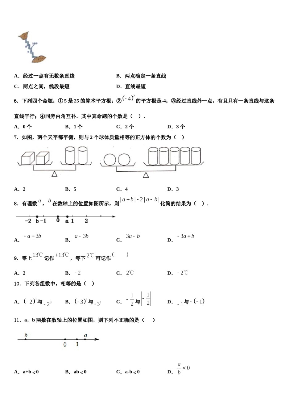 2023-2024学年河北省保定市乐凯中学数学七年级第一学期期末质量检测模拟试题含解析.doc_第2页