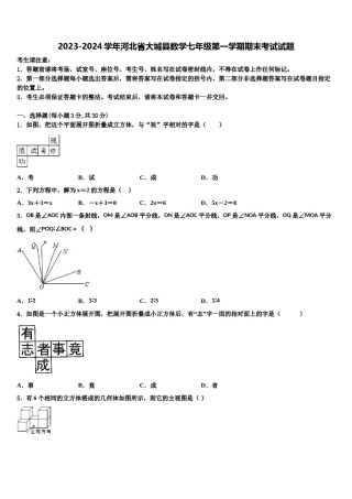 2023-2024学年河北省大城县数学七年级第一学期期末考试试题含解析.doc